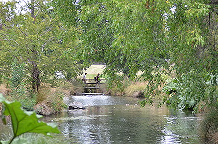 Disc Golf New Zealand